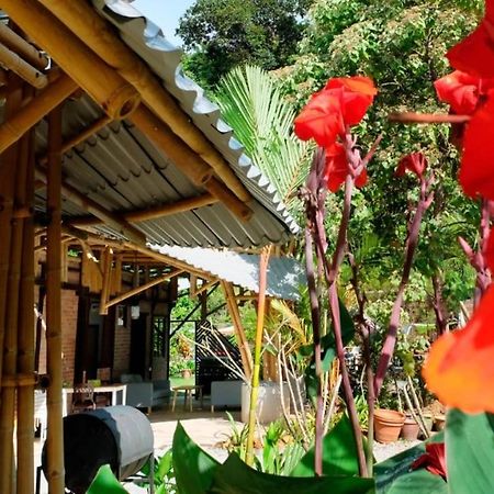 Bamboo Cottage Langkawi Пантай-Ченанг Екстер'єр фото